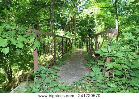 Old Abandoned Bridge In The Forest Of East Prussia