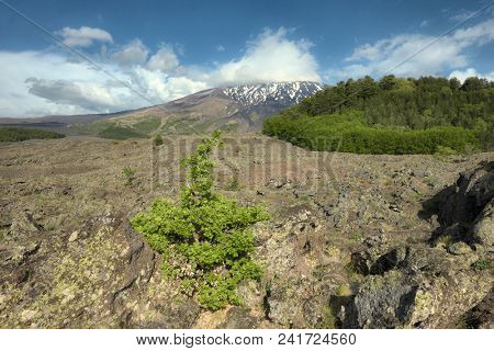 1832 ancient encrusted lava cooled around Egitto Mount under Etna Mount, Sicily