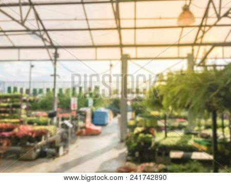 Blurred Plant Nursery, Tool And Equipment At Garden Center In Usa