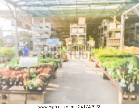 Blurred Plant Nursery, Tool And Equipment At Garden Center In Usa