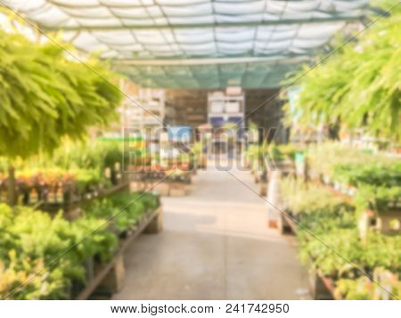 Blurred Plant Nursery, Tool And Equipment At Garden Center In Usa
