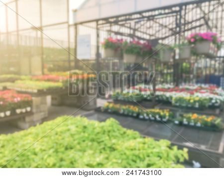 Blurred Plant Nursery, Tool And Equipment At Garden Center In Usa