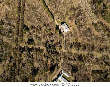 Forest In The Novosibirsk City,siberia With Diffrent Trees And Plants With Some Buildings In It. Str