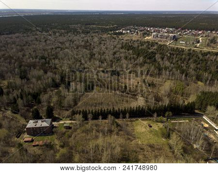 Forest In The Novosibirsk City,siberia With Diffrent Trees And Plants With Some Buildings In It. Str