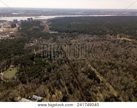 Forest In The Novosibirsk City,siberia With Diffrent Trees And Plants With Some Buildings In It. Str