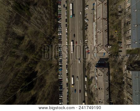 Forest In The Novosibirsk City,siberia With Diffrent Trees And Plants With Some Buildings In It. Str