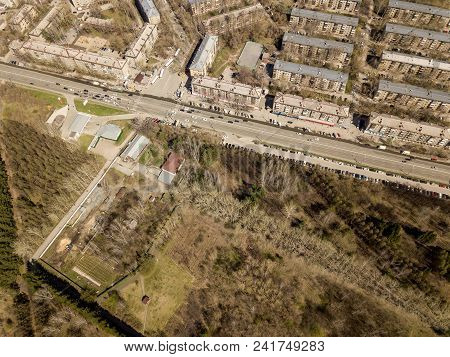 Forest In The Novosibirsk City,siberia With Diffrent Trees And Plants With Some Buildings In It. Str