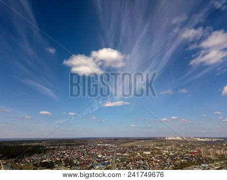 Forest In The Novosibirsk City,siberia With Diffrent Trees And Plants With Some Buildings In It. Str