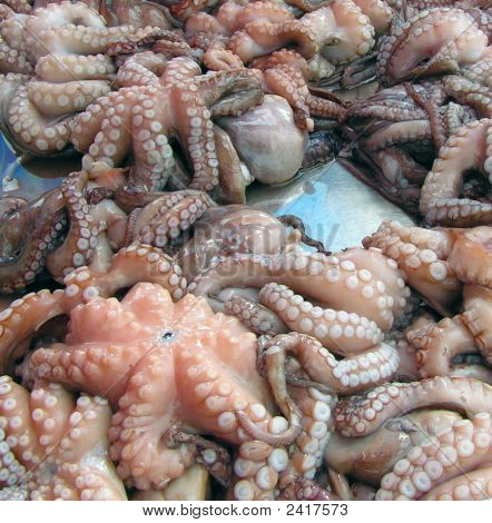 Chobotnice