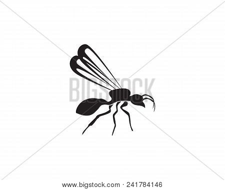 Ant Logo Template Vector Illustration Design