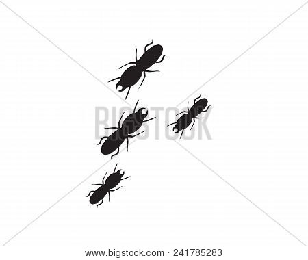 Ant Logo Template Vector Illustration Design