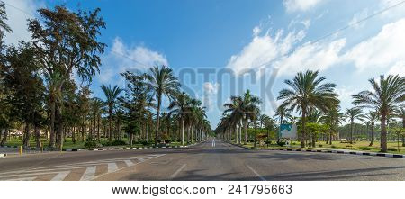 Panoramic View Of Asphalt Road Framed By Trees And Palm Trees With Partly Cloudy Sky In A Summer Day