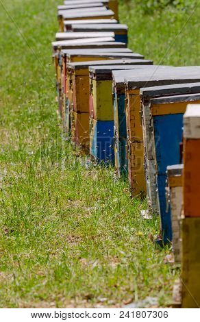 View On Apiary Near Village Dirrakhi (prefecture Of Arcadia) In The Mountains On A Sunny Spring Day 