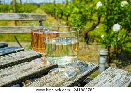 White And Rose Wine Tasting On Vineyard