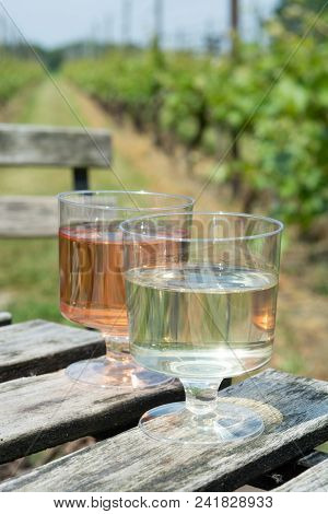Dutch Winery, White And Rose Wine Tasting On Vineyard In Brabant On Outside Terrace