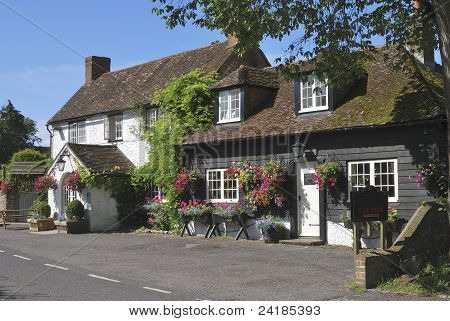 George Inn Eartham At. İNGİLTERE
