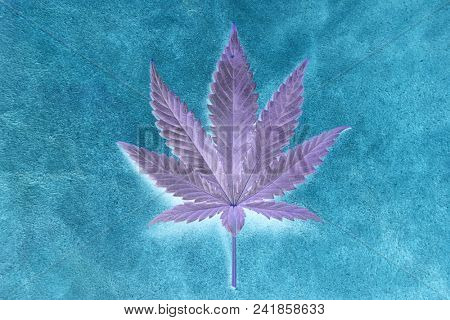 Marijuana Leaf. Inverted color version of a Marijuana Leaf on a Leather Background. Backgrounds and Textures. 