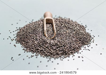 Linum Usitatissimum Is Scientific Name Of Brown Flax Seed. Also Known As Linseed, Flaxseed And Commo