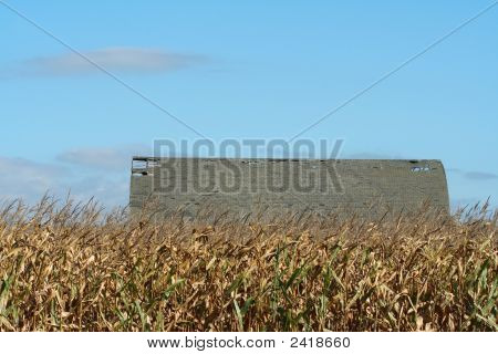 Azienda agricola tetto