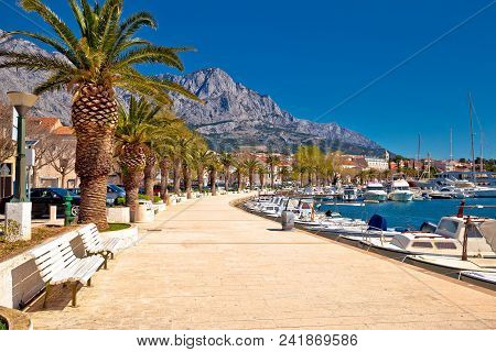 Baska Voda Palm Waterfront View, In Makarska Riviera, Dalmatia Region Of Croatia