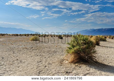 Death Vallley Landscape