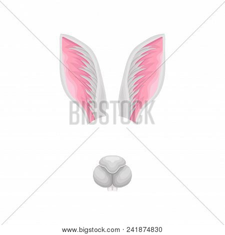Colorful Illustration Of Rabbit S Long Ears And Cute Nose. Funny Muzzle Of Little Bunny. Element Of 