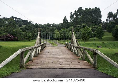 Wooden Trunk Bridge Tangua Park Brazil Trail Grass Vegetation