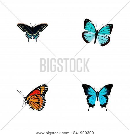 Set Of Butterfly Realistic Symbols With Sky Animal, Demophoon, Painted Lady And Other Icons For Your