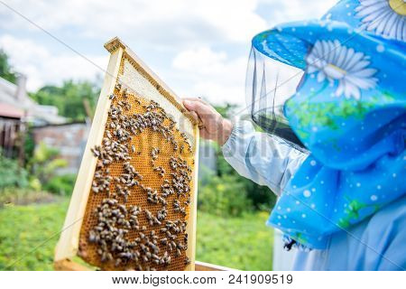 Beekeeper Looks At The Sites Through A Magnifying Glass. Beekeeper Studying The Eggs And Larvae Of B
