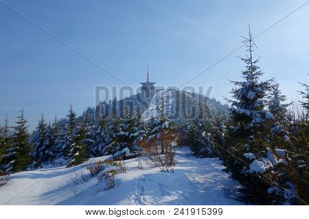 Winter Snowy View On The Highest Mountain Called Lysa Hora, Beskydy, Czech Republic