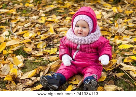 Beautiful Baby Girl One Years Old In Pink Jumpsuit Sitting On Yellow Leaves - Autumn Scene. Toddler 