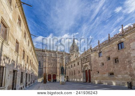 Plateresque Facade Of The University With Frog In A Skull And Patio Of Schools Of Salamanca