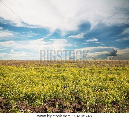 campi, terriccio terra e cielo