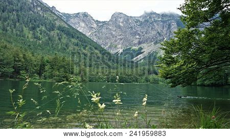 Beautiful Lake Hiterer Langbathsee In Austria In Summer