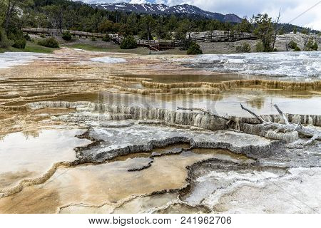 Mamoth Hot Springs In Yellowstone National Park