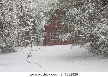Red Barn Seen Through Snow Covered Trees.