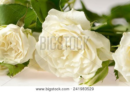 Beautiful White Flower