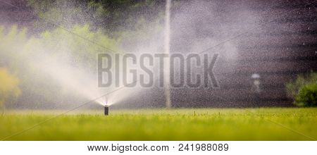Automatic Sprinkler System Watering The Lawn On A Background Of Green Grass, Close-up