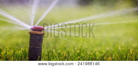 Automatic Sprinkler System Watering The Lawn On A Background Of Green Grass, Close-up