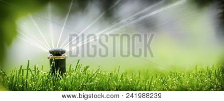 Automatic Sprinkler System Watering The Lawn On A Background Of Green Grass, Close-up