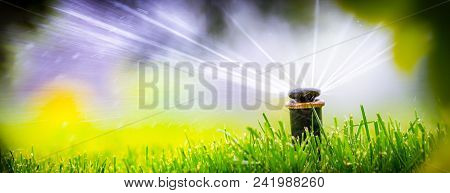 Automatic Sprinkler System Watering The Lawn On A Background Of Green Grass, Close-up