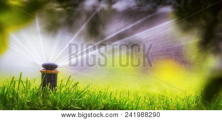 Automatic Sprinkler System Watering The Lawn On A Background Of Green Grass, Close-up