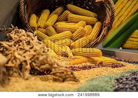 Assortment Of Corn Kernels Arranged In Vicar Basket With Decorative Cereal Seeds