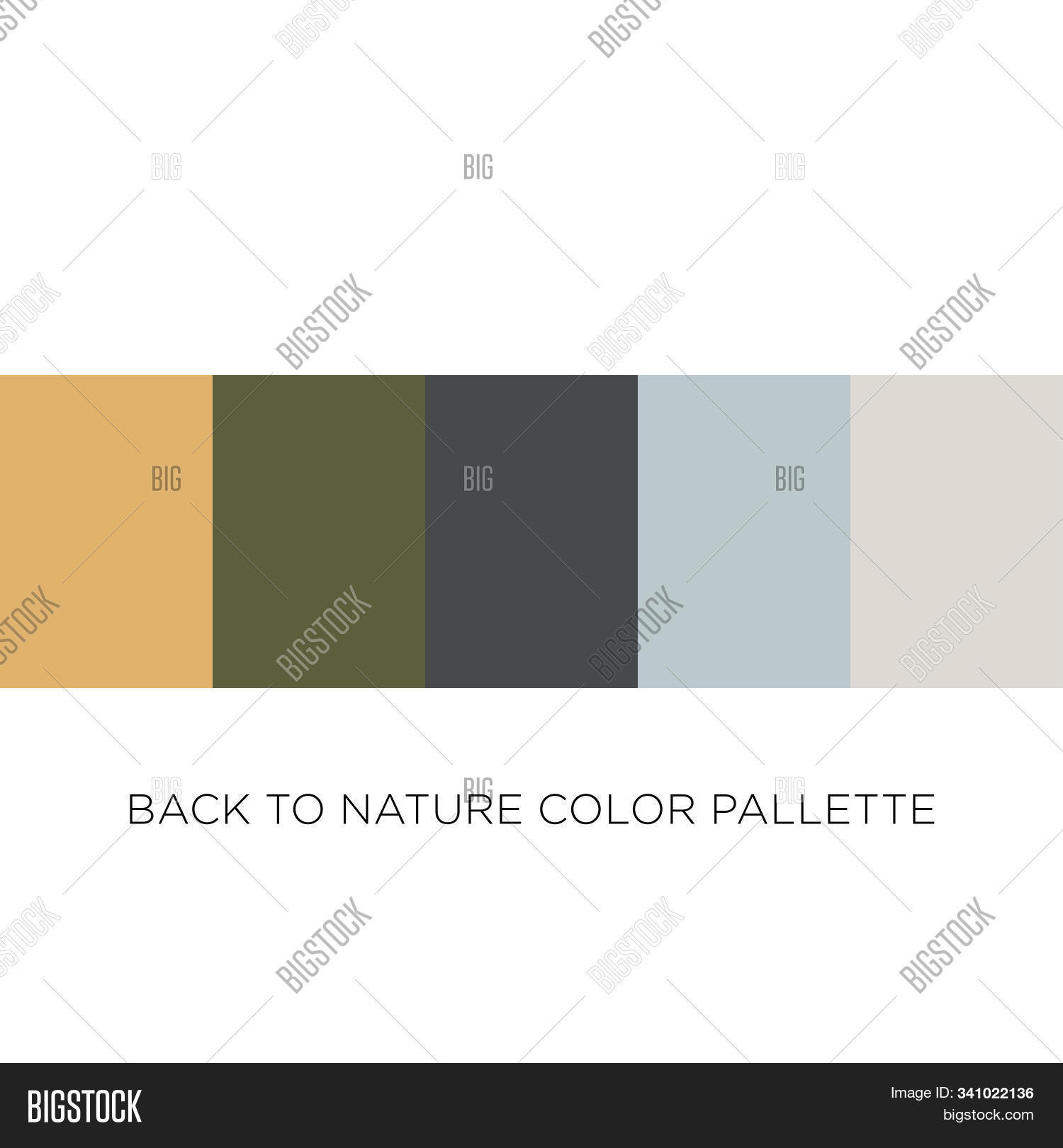 Back Nature Color Vector & Photo (Free Trial) | Bigstock
