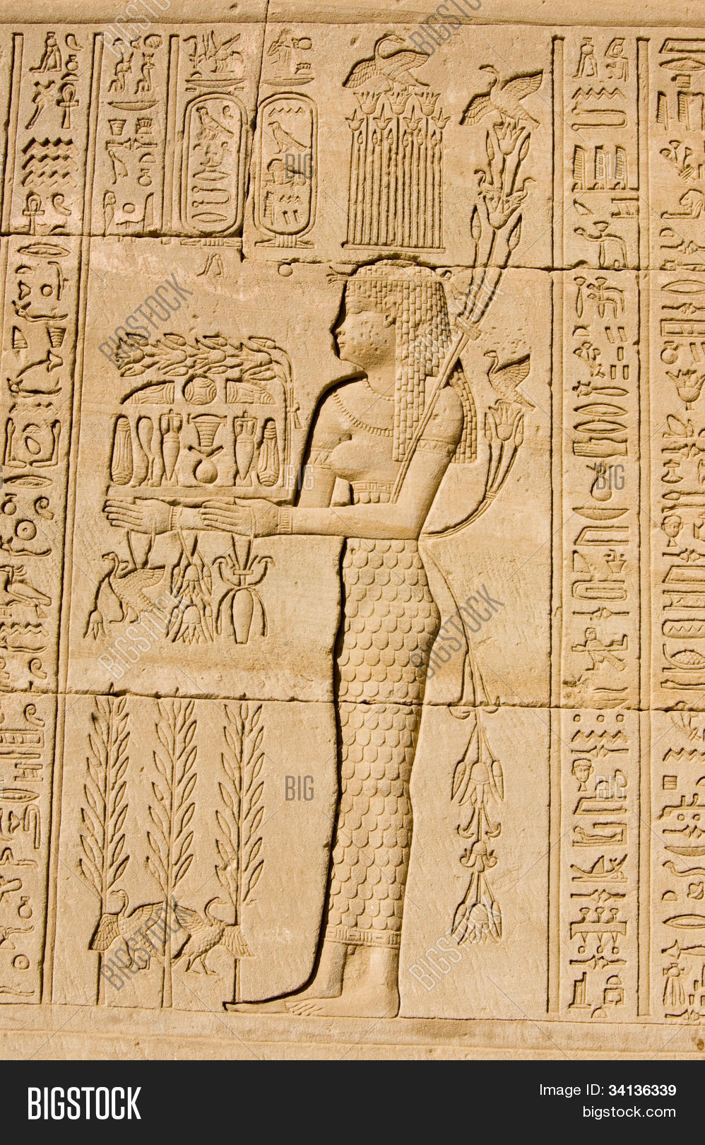 Egyptian Priests Hieroglyphics