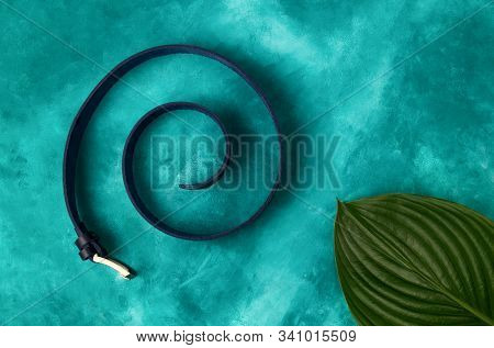A Male  Fashion Handmade Leather Belt In Spiral With Bif Plant Leaf In Right Down Corner On Turquois