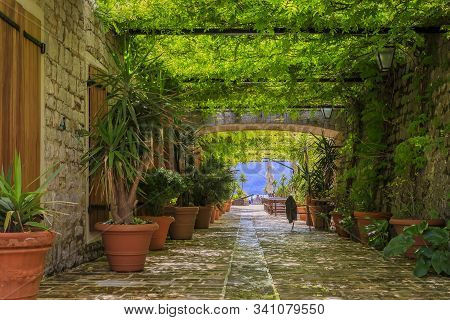 Picturesque Stone Walls And Green Alley In The 15th Century Citadel In The Old Town In Budva Montene