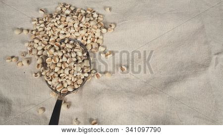 Job's Tears, Also Known As Adlay And Coix On Calico Background. Popular In Asian Cultures As A Food 