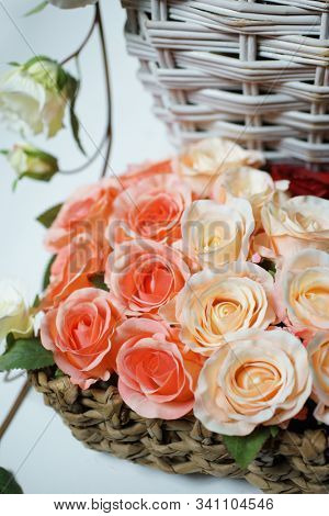 Colored Roses. Holiday flower. Wedding. 