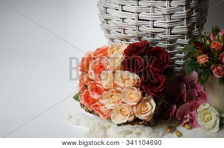 Colored Roses. Holiday flower. Wedding. 